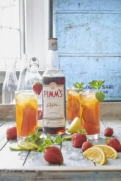 Pimm's No. 1 | 25 % Vol | 0,7 L -Haribo || Tassimo || Senseo Verkaufsgeschäft 1e4a7f2dc6d6c4e1fc2d5dc9bd35e869