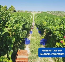 Geometria Moschofilero Weiß Trocken 0,75l Lafazanis -Haribo || Tassimo || Senseo Verkaufsgeschäft 22b4821f82654fcf7125a136f59a29f9