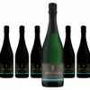 6 X Kloster Eberbach Sparkling Riesling Alkoholfrei -Haribo || Tassimo || Senseo Verkaufsgeschäft 335749afc56562ae94cb5a64877c3c27