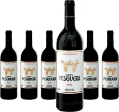 6 X Tinto Pesquera Reserva