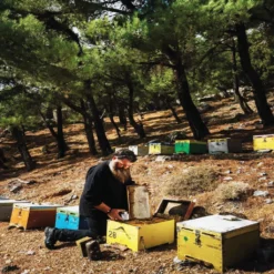 400g Glas Wildkräuterhonig Golden Melostalia Archontakis Aus Kreta Griechenland -Haribo || Tassimo || Senseo Verkaufsgeschäft 4e92ea174700db563d438cb457860a0b