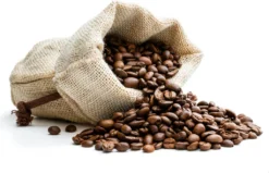 Café Intención Ecológico Caffè Crema | Fairtrade | Ganze Bohne | 1000g -Haribo || Tassimo || Senseo Verkaufsgeschäft 6f680653d8c0d3fd4e227255032377e4