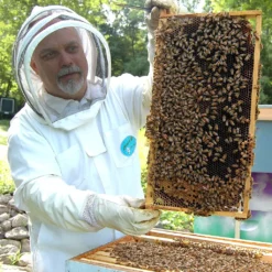 Manuka Honig | MGO 550+ | 500g | HALAL | Das ORIGINAL Aus NEUSEELAND | PUR, ROH & | 100% Natürlich | INKL. GRATIS HONIGLÖFFEL Aus Holz | PowerFabrik 13 Manuka Honig | MGO 550+ | 500g | HALAL | Das ORIGINAL Aus NEUSEELAND | PUR, ROH & | 100% Natürlich | INKL. GRATIS HONIGLÖFFEL Aus Holz | PowerFabrik -Haribo || Tassimo || Senseo Verkaufsgeschäft 7bf1fed05dfd8fec250728cfa0c1dc69