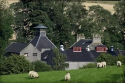 The GlenDronach 12 Jahre Original Highland Single Malt Scotch Whisky In Geschenkpackung | 43 % Vol | 0,7 L -Haribo || Tassimo || Senseo Verkaufsgeschäft 80a5ad03028daf8e55d90959535c0409