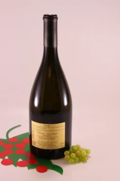 Sauvignon Winkl - 2022 - Kellerei Terlan Südtirol -Haribo || Tassimo || Senseo Verkaufsgeschäft 96abd8aad71e1fb36fe2895c1741f3ad