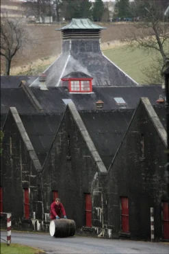 The GlenDronach 12 Jahre Original Highland Single Malt Scotch Whisky In Geschenkpackung | 43 % Vol | 0,7 L -Haribo || Tassimo || Senseo Verkaufsgeschäft 9b34092709b6bcdf05603be4ea79525d