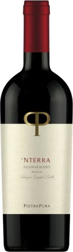 'Nterra Negroamaro Puglia - 2021 - Pietra Pura