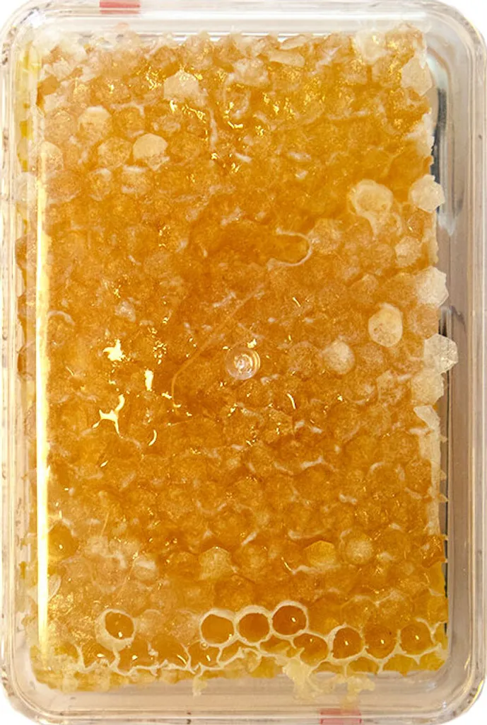 Wabenhonig Aus Ungarn 3 Wabenhonig Aus Ungarn