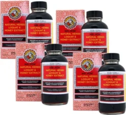 [ 4x 300ml ] NIN JIOM PEI PA KOA Honig, Mispel Kräutersirup, Enthält 14 Kräuter