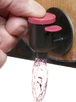 Portugieser Rosé Halbtrocken Bag In Box 5 L -Haribo || Tassimo || Senseo Verkaufsgeschäft d4d774bfb98ac91a8cf64ac5bb0b6b23