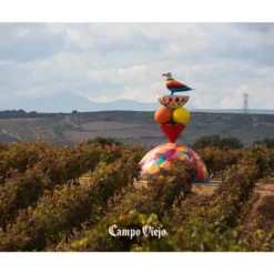 Campo Viejo Rioja Tempranillo Trocken | 13 % Vol | 0,75 L -Haribo || Tassimo || Senseo Verkaufsgeschäft f953f0af592a00411ee912730ed50197