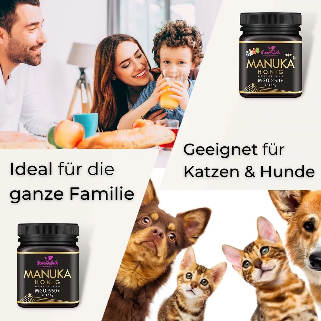 Manuka Honig | MGO 550+ | 500g | HALAL | Das ORIGINAL Aus NEUSEELAND | PUR, ROH & | 100% Natürlich | INKL. GRATIS HONIGLÖFFEL Aus Holz | PowerFabrik 7 Manuka Honig | MGO 550+ | 500g | HALAL | Das ORIGINAL Aus NEUSEELAND | PUR, ROH & | 100% Natürlich | INKL. GRATIS HONIGLÖFFEL Aus Holz | PowerFabrik – Bild 5